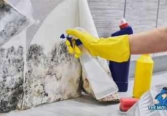 Mold and Mildew Treatment