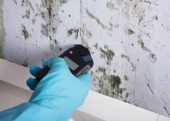 Mould Inspection and Assessment