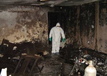 Mould & Mildew Removal