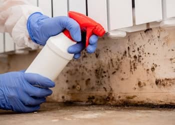 Mould Remediation