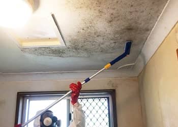 Mould Removal for Vintage Homes
