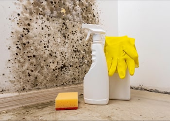 Mould removal from bathroom windows