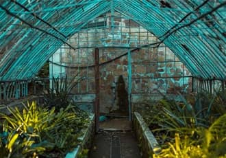 Old Greenhouse Disposal