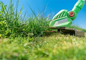 One-Time Grass Cutting