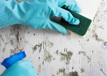 Paint & Residue Removal