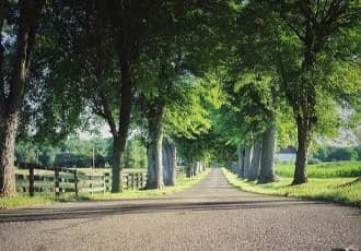 Permeable Gravel Driveways