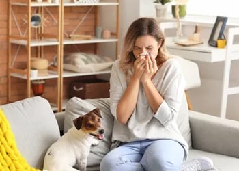 Pet & Allergy-Friendly Cleaning