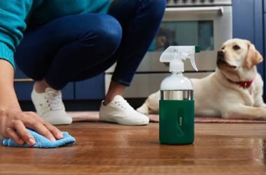 Pet-Friendly Home Cleaning