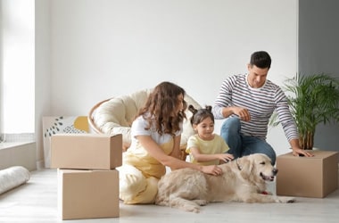 Pet Relocation Services