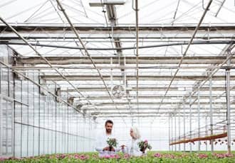 Polycarbonate Greenhouses