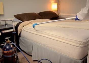 Preventative Bed Bug Solutions