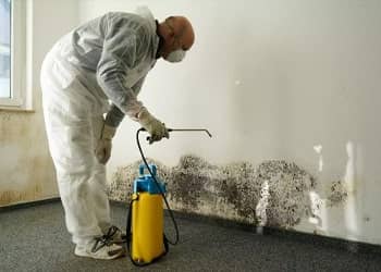 Preventative Mould Treatments