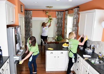 Regular Weekly / Fortnightly Cleaning