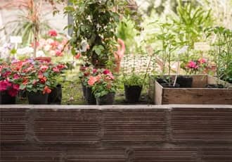 Rendered Garden Walls