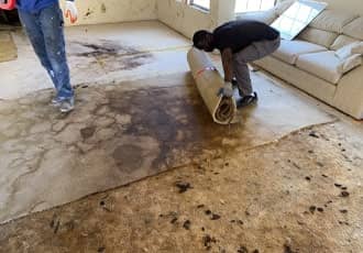 Residential Carpet Removal