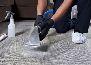 Residential Carpet Shampooing
