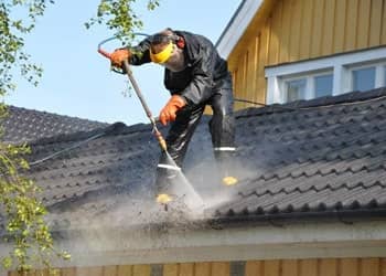 Roof and Gutter Cleaning