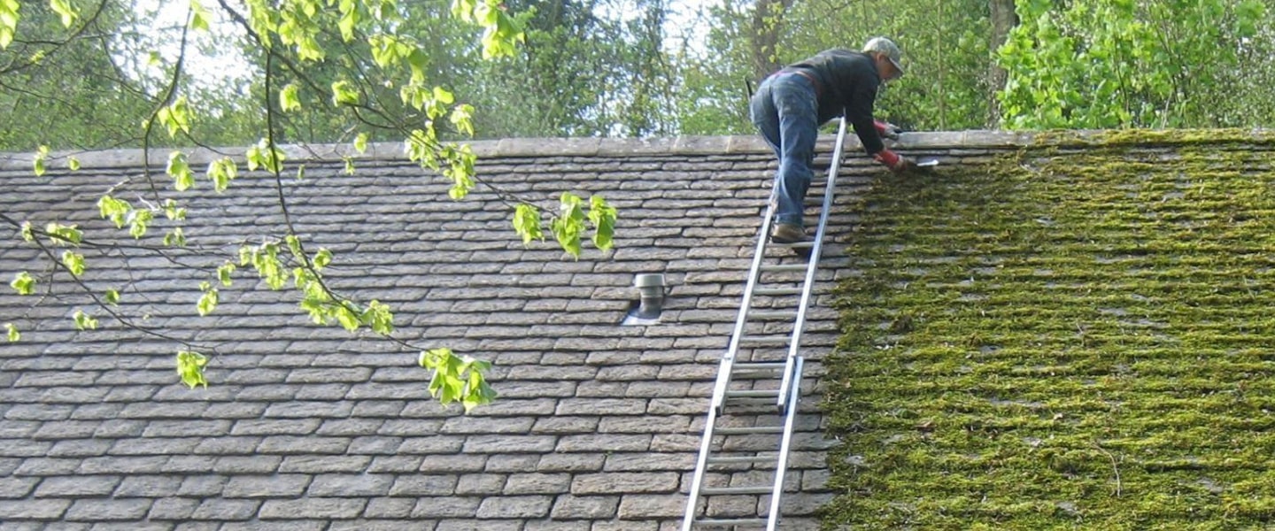 Roof Surface Restoration