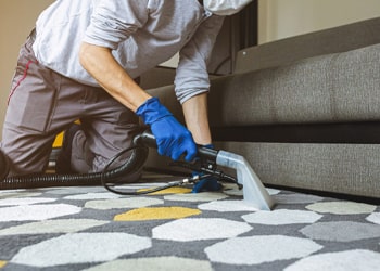 Rug Cleaning Services