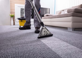 Same Day Carpet Cleaning