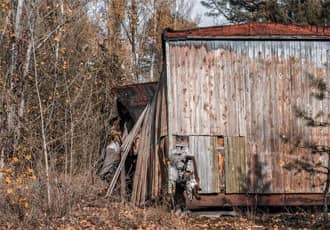 Same-Day Shed Removal
