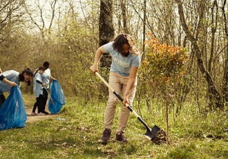 Shed & Fence Demolition