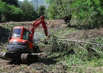 Site Clearance