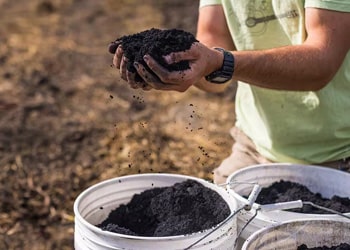 Soil, Clay & Compost Removal