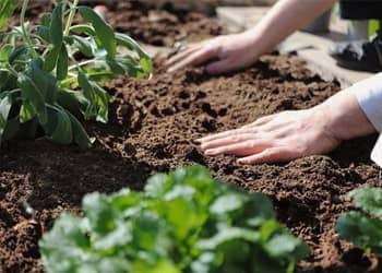 Soil Disposal for Landscaping Projects