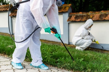 Specialist Fumigation