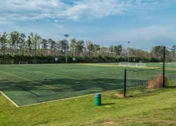 Sports Turf Installation