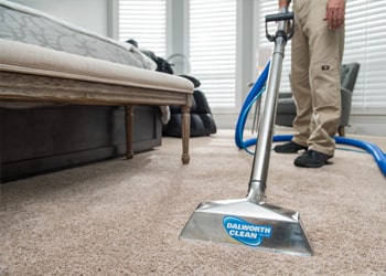 Stain and Spot Removal