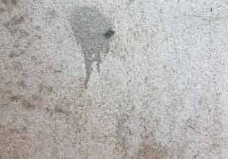 Stain and streak removal