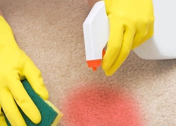 Stain Protection Application