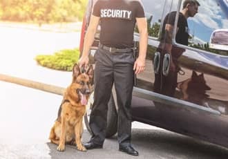 Static Security Dog Units