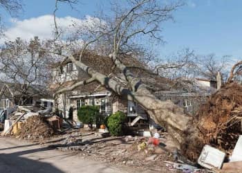 Storm Damage Cleaning