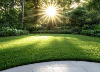 Synthetic Lawn Replacement