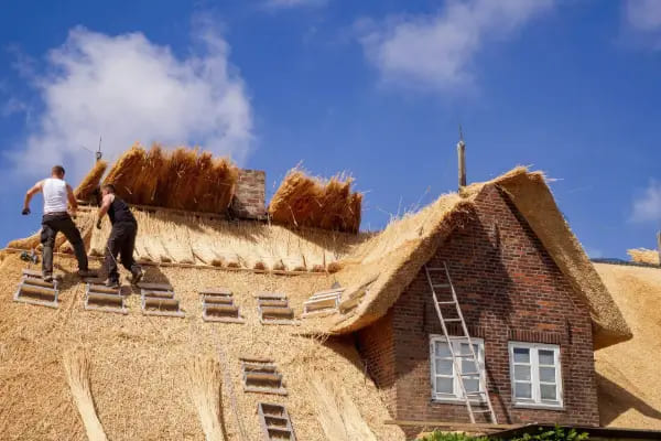 Thatch Maintenance Packages