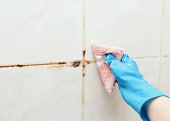 Tile and grout mould removal