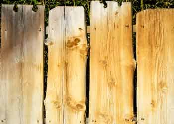 Timber Fence Panel Repair