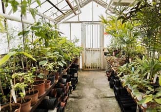 Timber Greenhouses