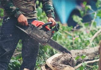 Tree Branch and Limb Disposal