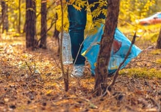 Tree & Branch Waste Collection