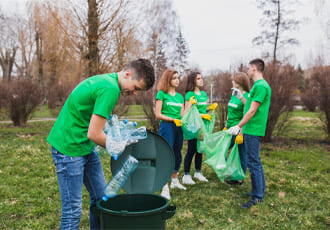 Tree & Stump Removal