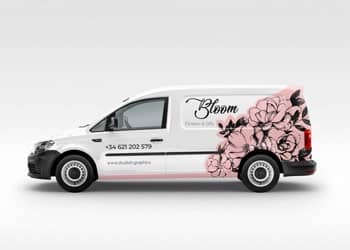 Vehicle Graphics