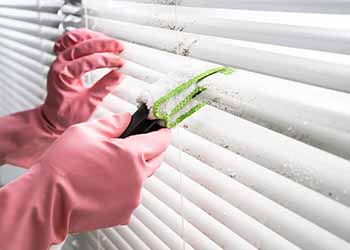 Vertical Aluminium Blind Cleaning