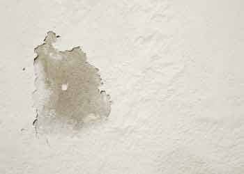 Wall and ceiling moisture control