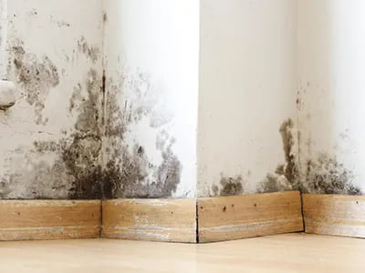 Wall & Floor Damp Barriers