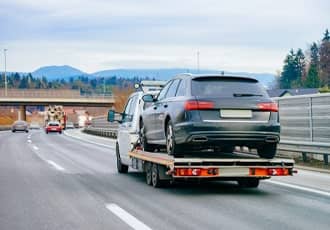 Wall-Mounted Cat Runs