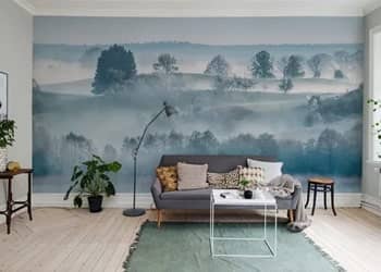Wall Murals